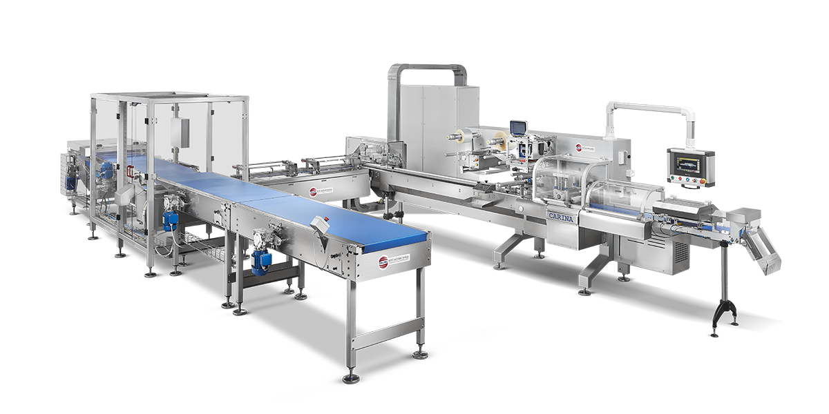 Flow Wrapping Machine - Delfin